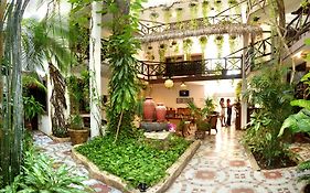 Posada Mariposa Boutique Hotel - 5Th Avenue